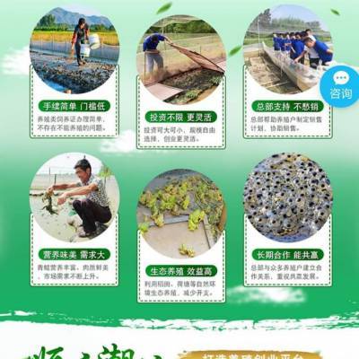 黑斑蛙养殖周期与蝌蚪变态时间详解